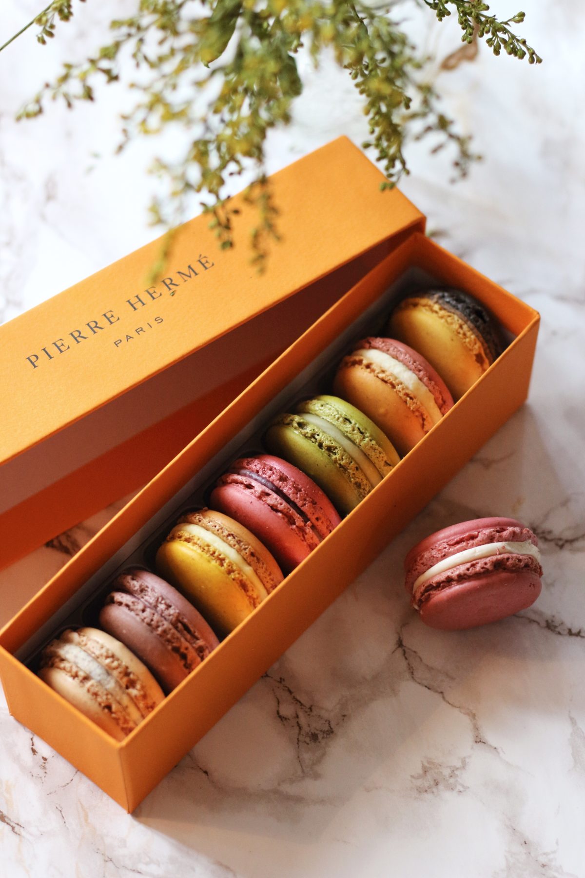 Pierre Hermé x Vaincre la Mucoviscidose Pierre Hermé x Vaincre la Mucoviscidose