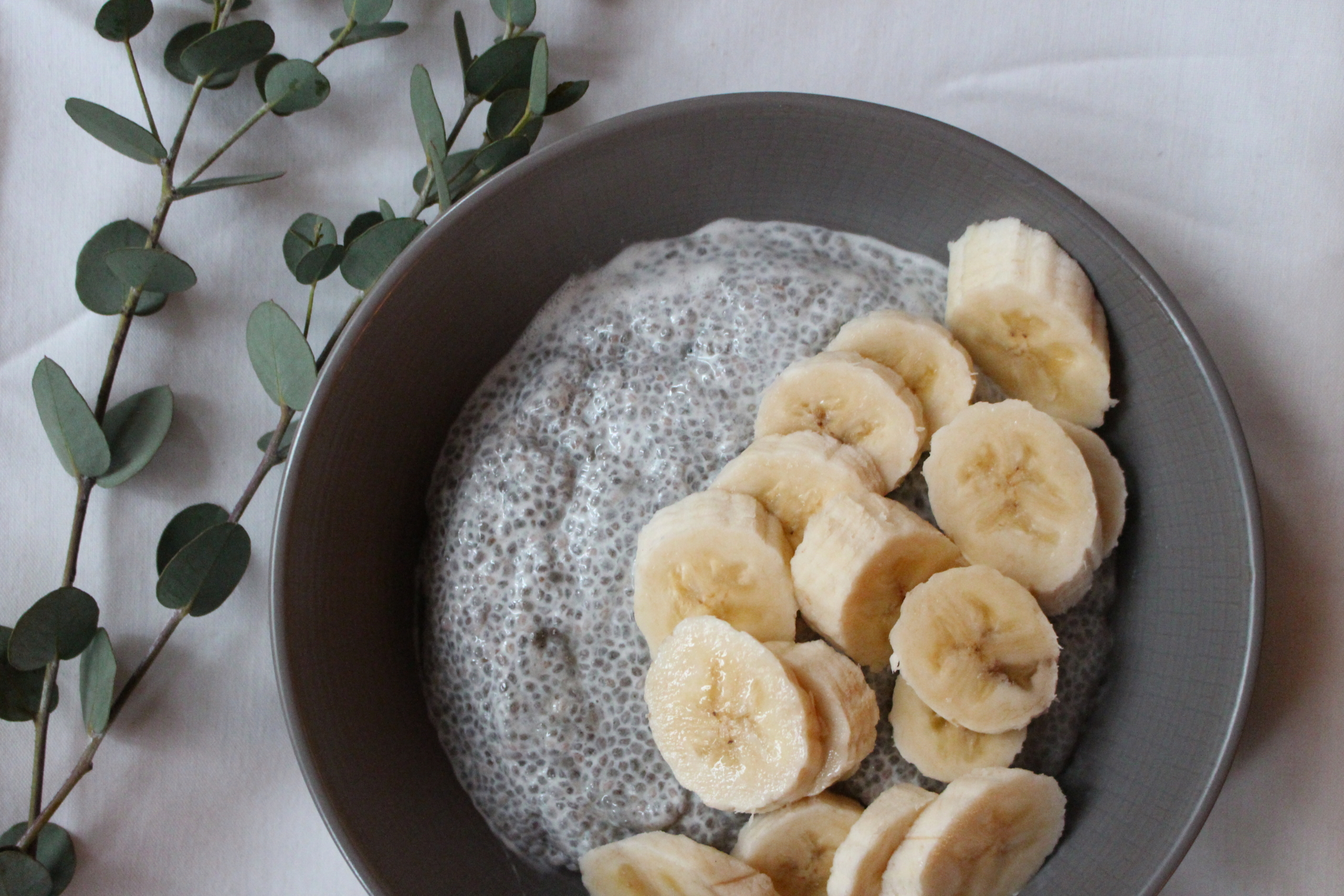 Vanilla Chia Pudding Bowl